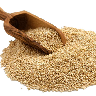 Quinoa